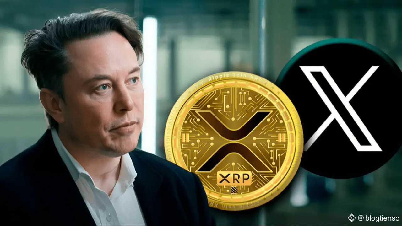 Elon Musk’s New X Payment Could Indirectly Work With XRP, Here’s the Connection