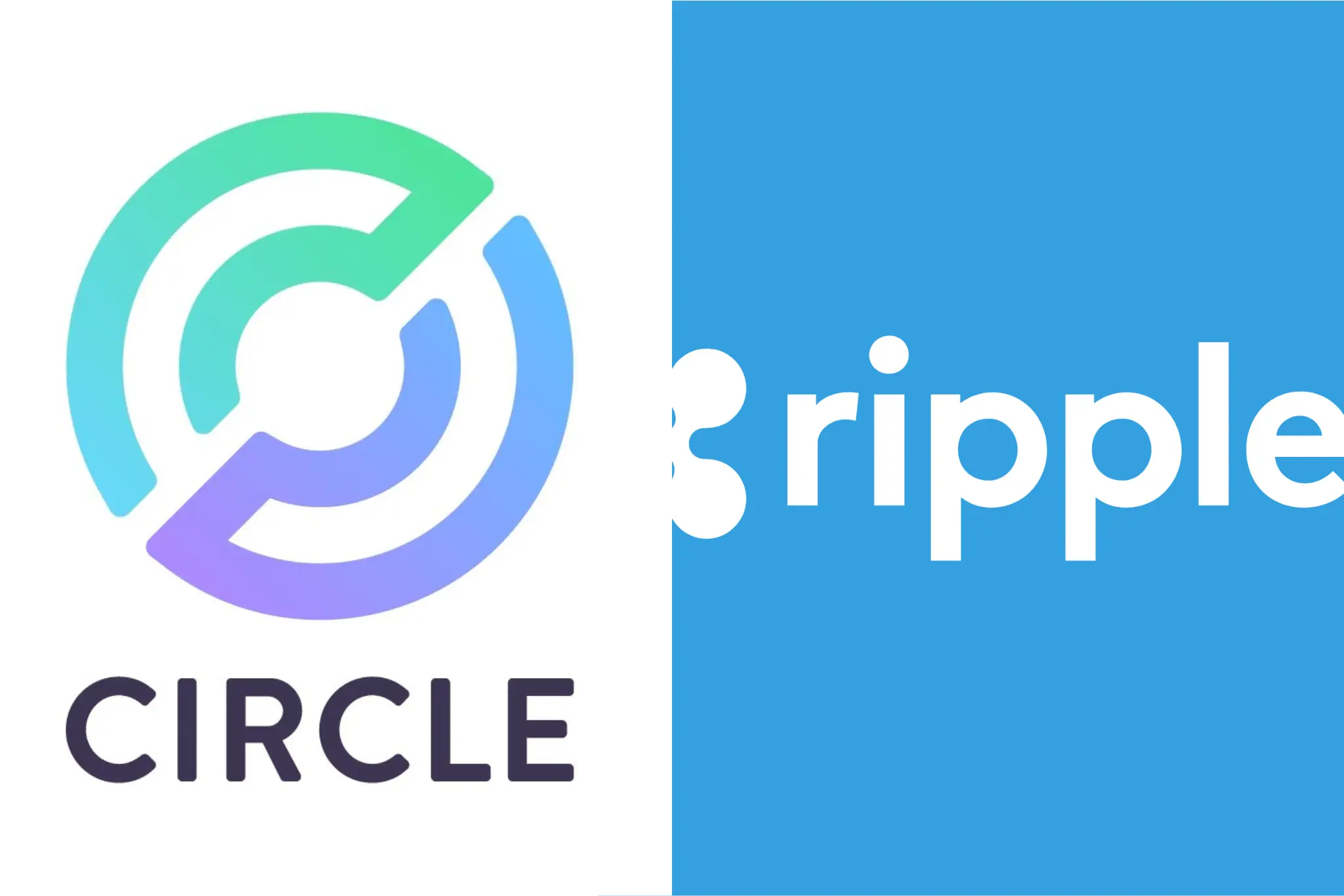 Ripple’s Plan to Buy Circle Could Wipe Out Crypto Competition, Expert Warns