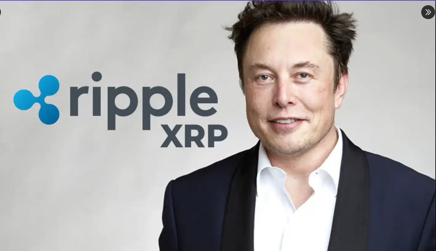 Elon Musk’s New ‘X Money’ System to Support XRP? Rumor Gains Traction Elon Musk’s New ‘X Money’ System to Support XRP? Rumor Gains Traction