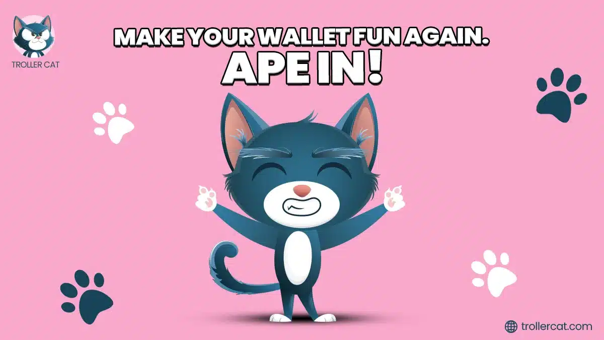 make your wallet fun again troller cat