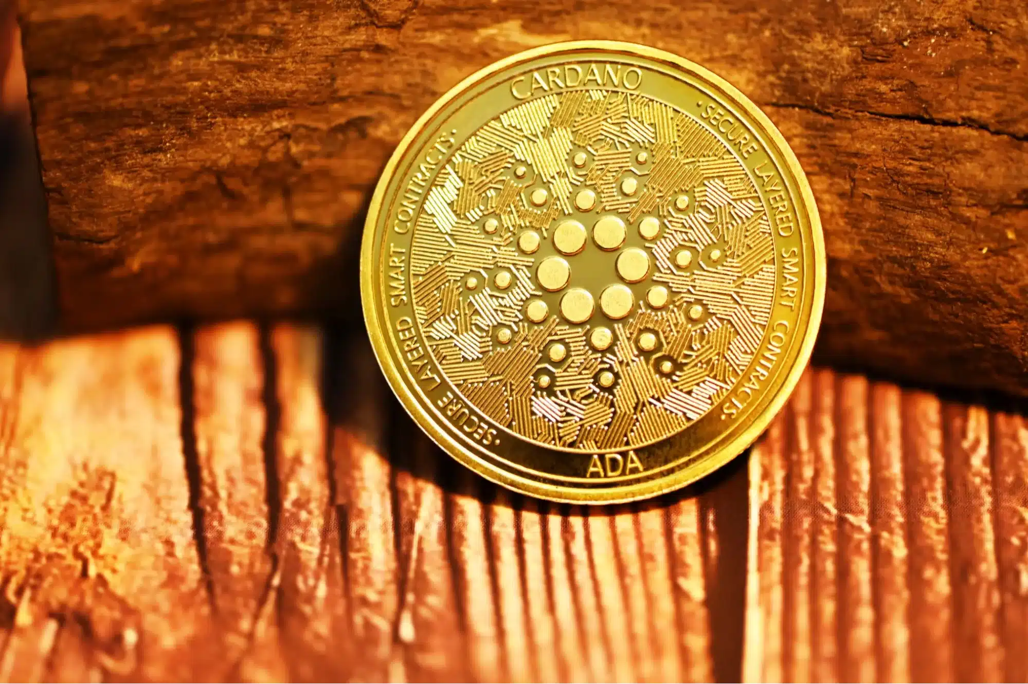 cardano coin