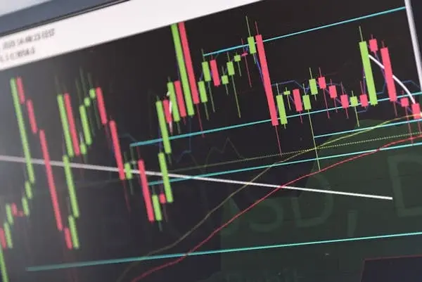 Dogecoin's Path to $0.731