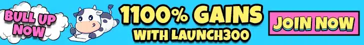 1100% btfd presale
