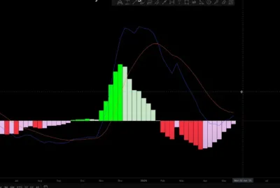 Cardano Set for Massive Rally? Analyst Spots 2020-Style Bullish Signals 1 Cardana
