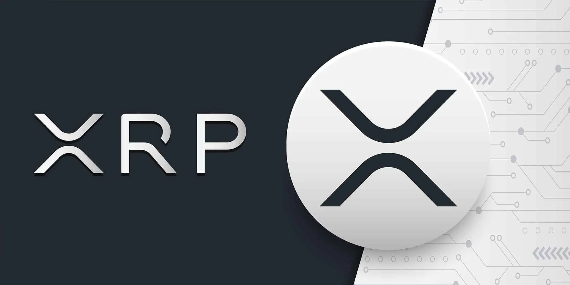 10,000 XRP May Soon Cost $1M as Expert Warns Investors Time Is Running Out