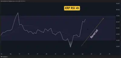 Here are 3 Important Details to Observe in XRP Price Today" 