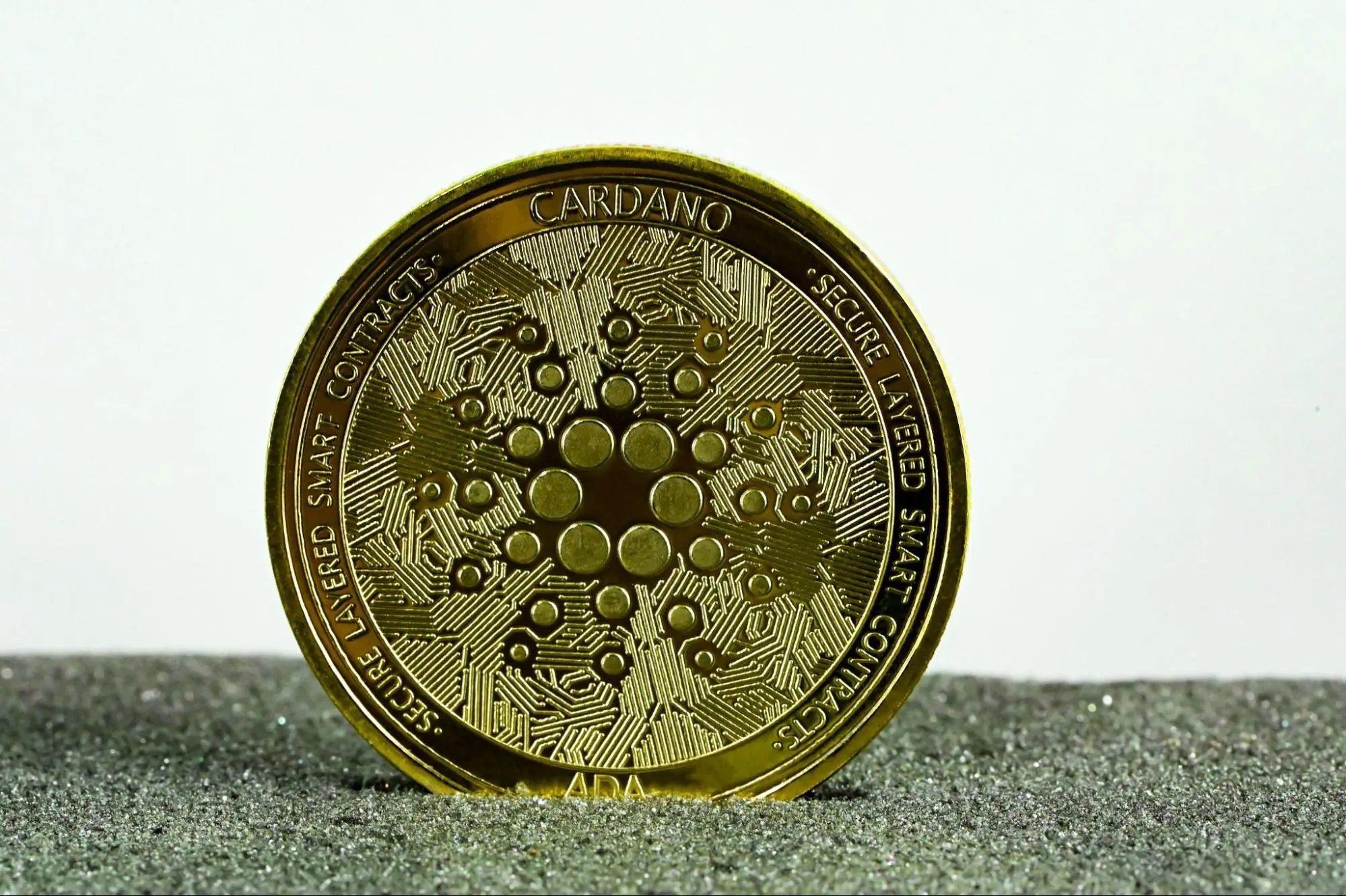 Cardano Holds the Line as Accumulation Builds 