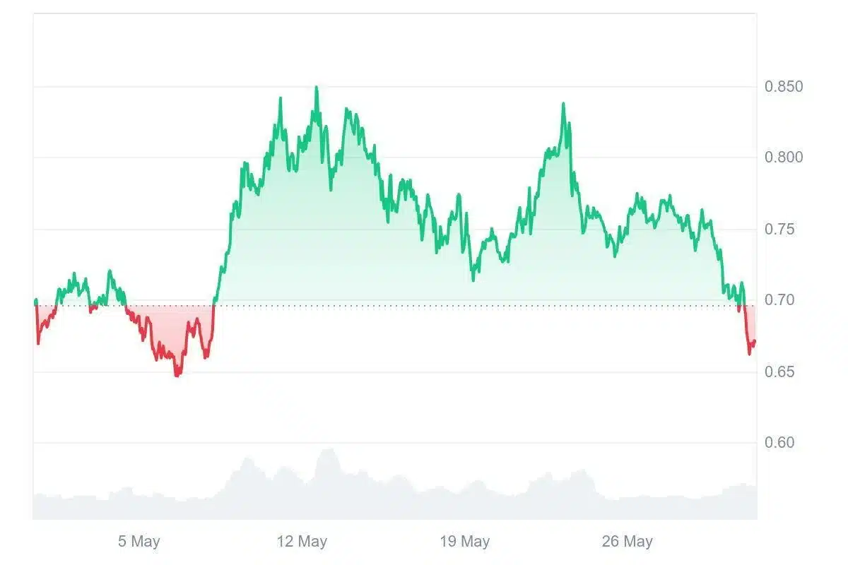 cardano chart and ruvi