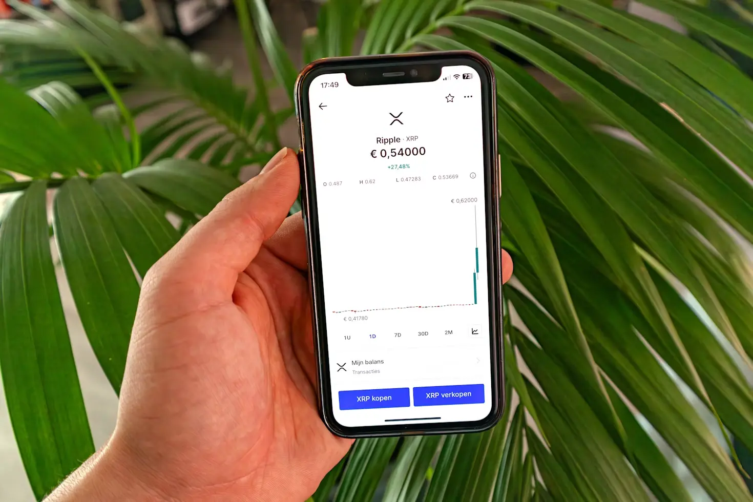 Ripple (XRP): Volatility Masks Long-Term Opportunity 