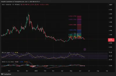 Whale Moves $9.5M in Worldcoin as Price Crashes Below Key Support Level 1 Worldcoin