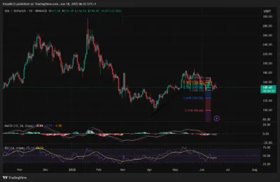 Massive Whale Shift and ETF Delay Send Solana Investors Into Panic Mode 1 SOL