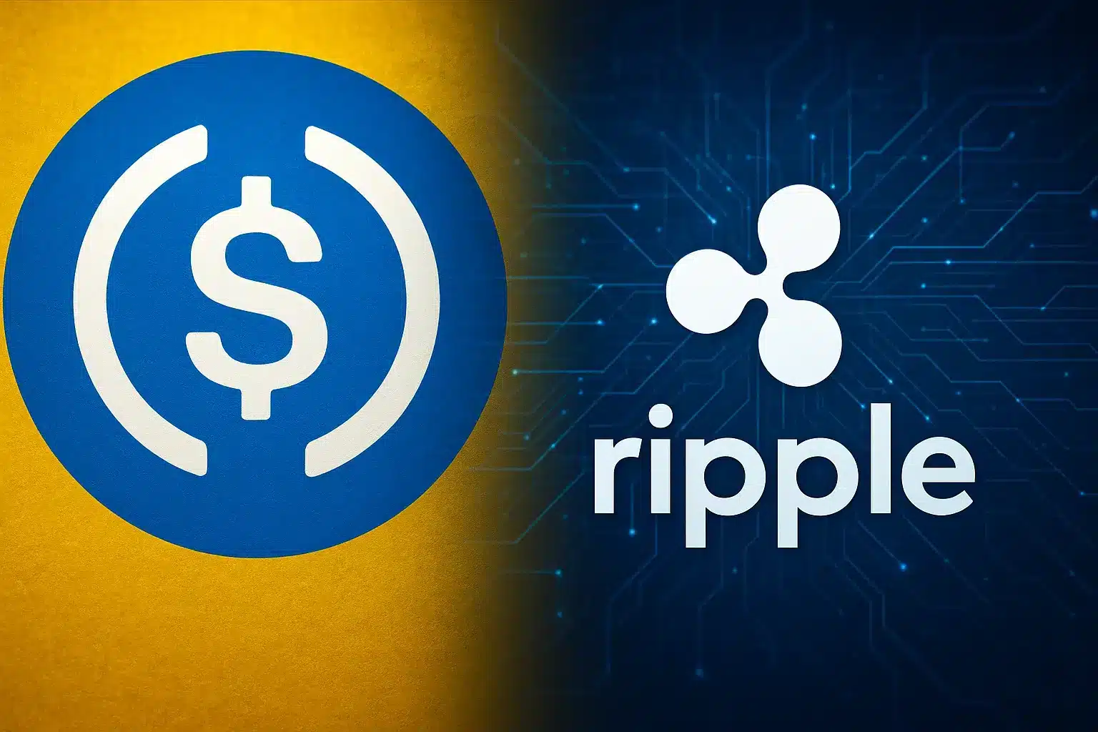 XRPL Welcomes USDC to its Network Amid Ripple-SEC Latest Update