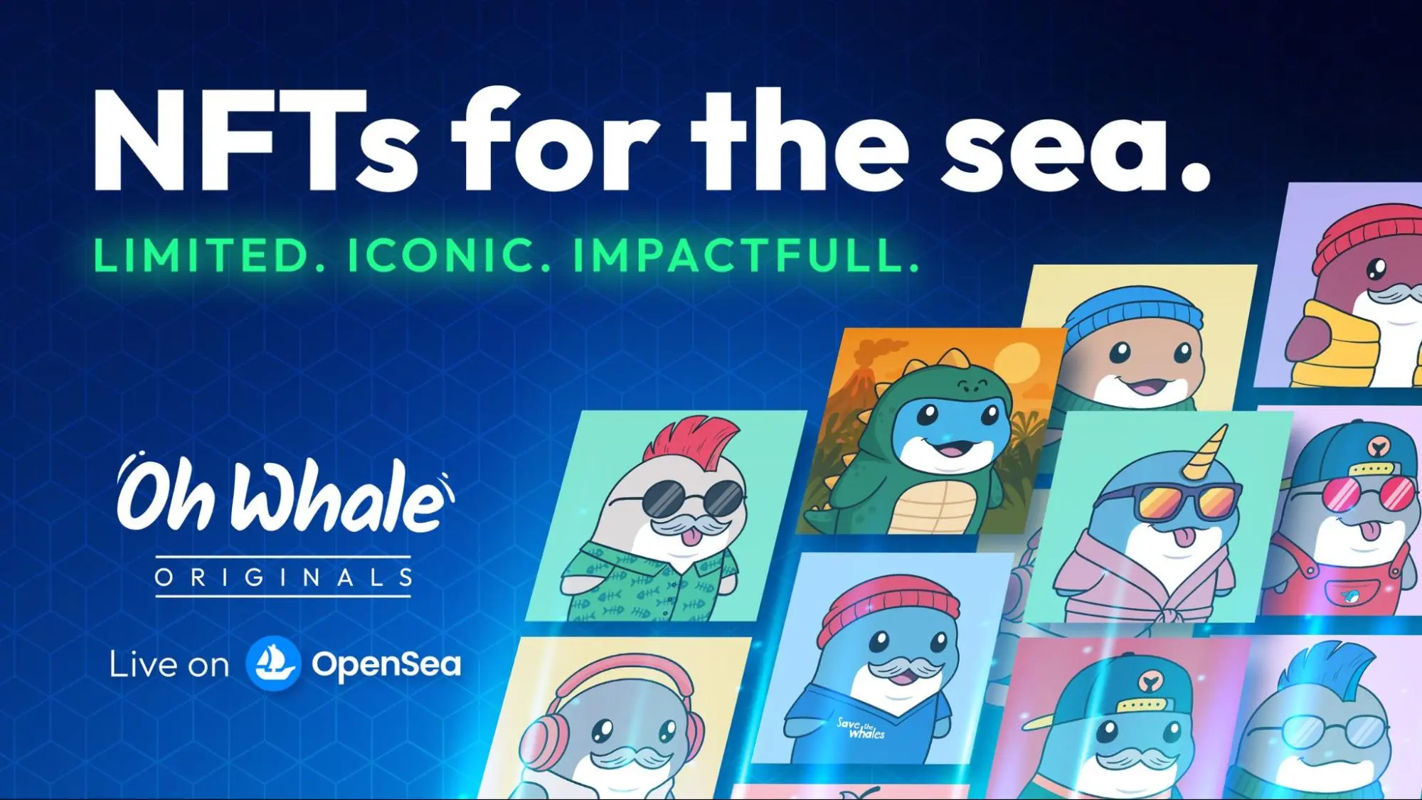 Oh Whale Launches NFT Collection to Fund Ocean Protection and It’s Just the Beginning