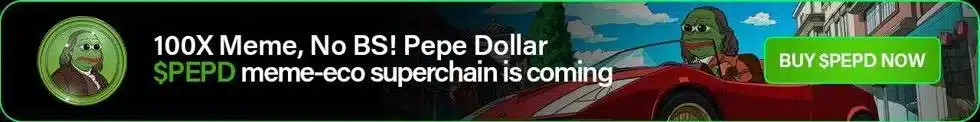 pepe dollar banner pr