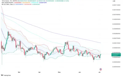 Terra Classic (LUNC) Price Prediction 2025–2030: Can LUNC Hit $0.0001 Soon? 3 Terra Classic (LUNC)