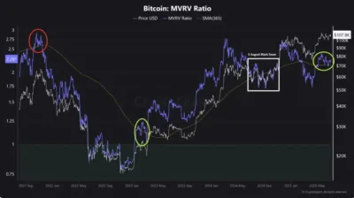 Elon Musk Confirms America Party Will Embrace Bitcoin Over Fiat System 1 Bitcoin