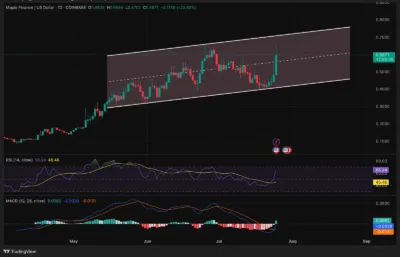 Maple Finance (SYRUP) Price Prediction 2025–2030: Will SYRUP Hit $0.75 Soon? 3 Maple Finance (SYRUP)