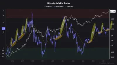 Bitcoin Accumulation Surge Signals Possible Breakout Beyond $120,000 1 Bitcoin