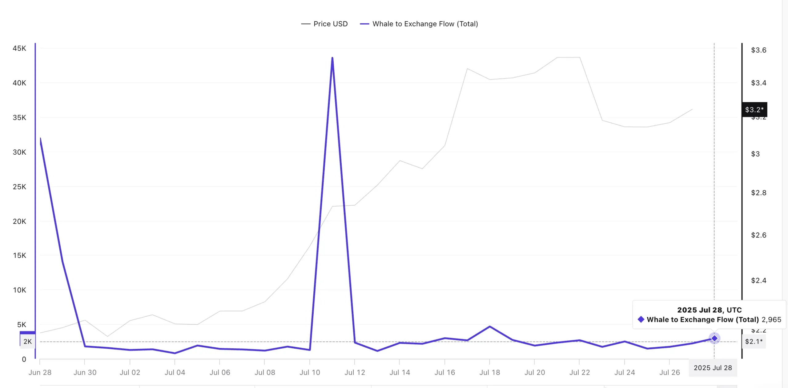 xrp whale movements