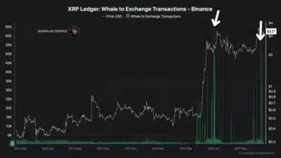 Analyst Points Out Disturbing Pattern in Key XRP Metrics - Should You Be Worried? 1 XRP