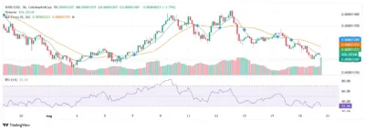 SHIB Whales Ignite Frenzy as Open Interest Soars 10% and Price Breaks Resistance 1 shiba