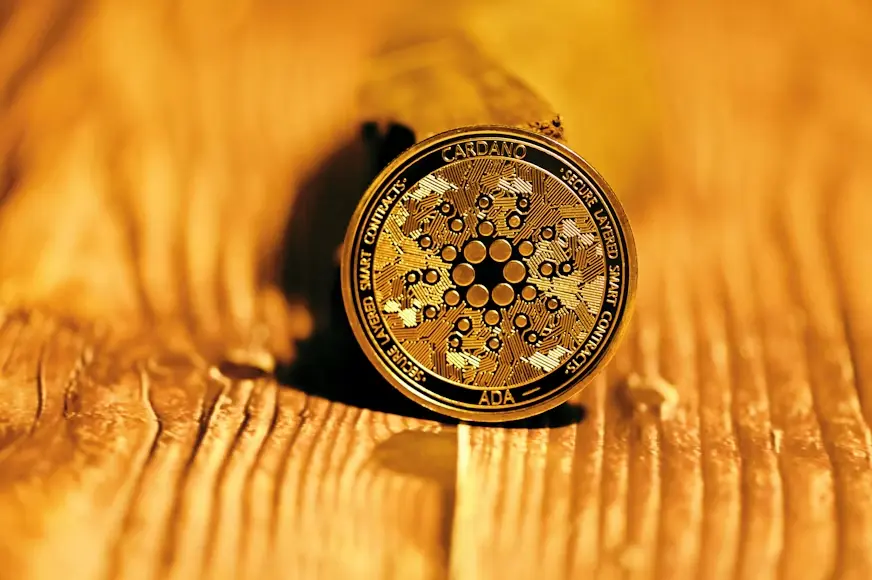  Cardano (ADA)