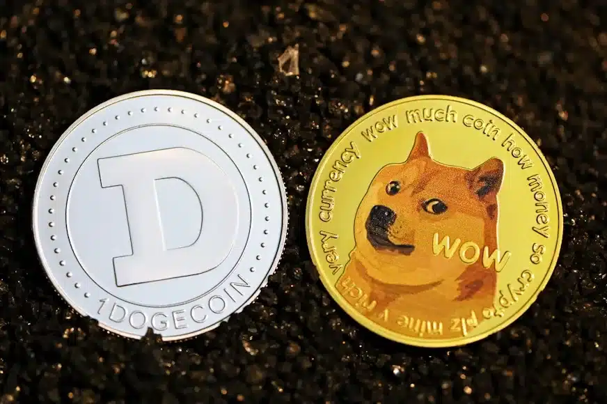 Dogecoin (DOGE)