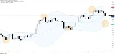 Bitcoin on the Brink: Will $100,000 Hold or Will a Major Crash Follow? 1 bitcoin
