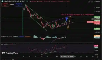Whales Go All-In on PUMP Token as Price Spikes 11% - Is $0.004 Next? 2 Pump