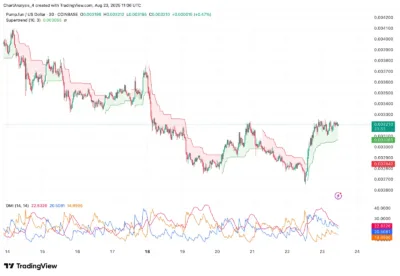 Pump.fun (PUMP) Price Prediction for August 24, 2025 3 pump.fun