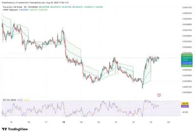 Pump.fun (PUMP) Price Prediction for August 24, 2025 1 pump.fun