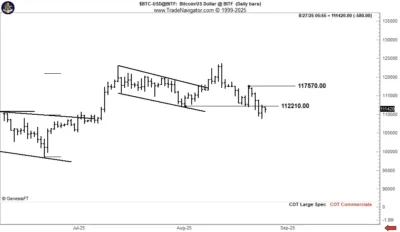 Bitcoin’s Bounce to $113,000 Sparks Hope, but Peter Brandt Warns of Bearish Trap 1 Bitcoin