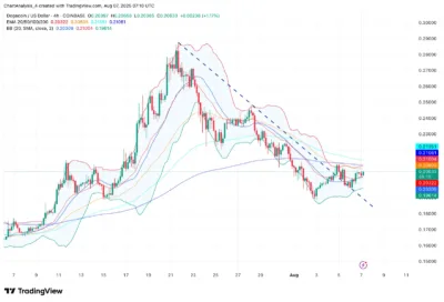 Dogecoin's Struggle Continues: Can It Bounce Back or Face a Bigger Crash? 2 Dogecoin