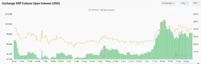 XRP Surpasses BlackRock as Market Cap Soars Past $176B Amid Crypto Frenzy 1 xrp