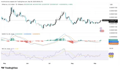 Shiba Inu Set to Explode: Analyst Predicts 165% Gain in Upcoming Rally 1 shiba