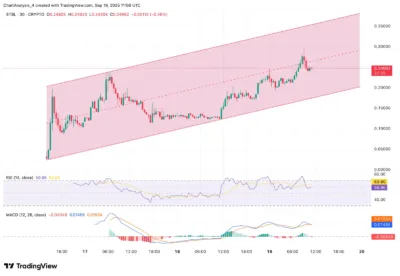 STBL (Stablecoin 2.0) Price Prediction 2025–2030: Will STBL Hit $6.50 Soon? 1 STBL (Stablecoin 2.0)