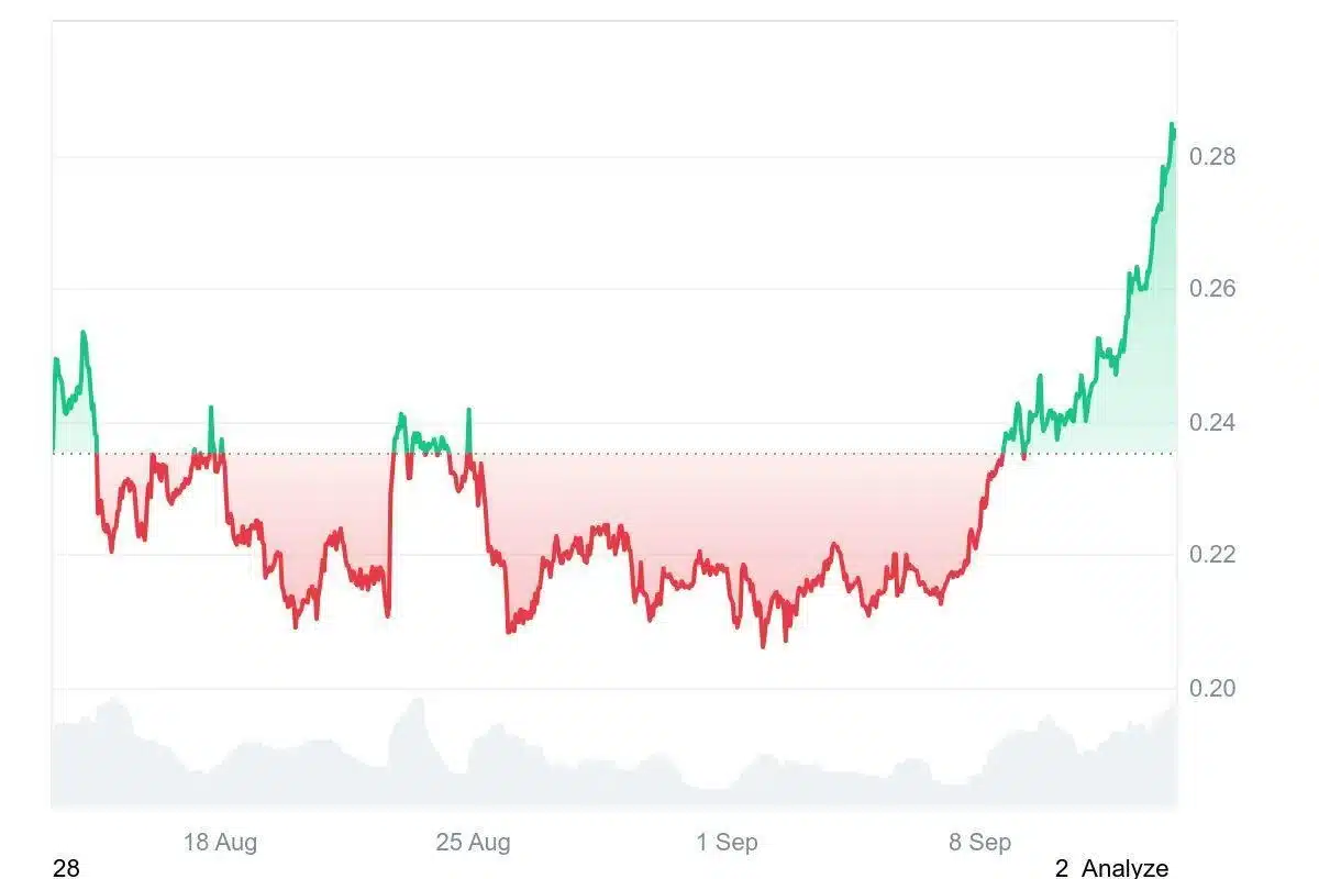 doge chart