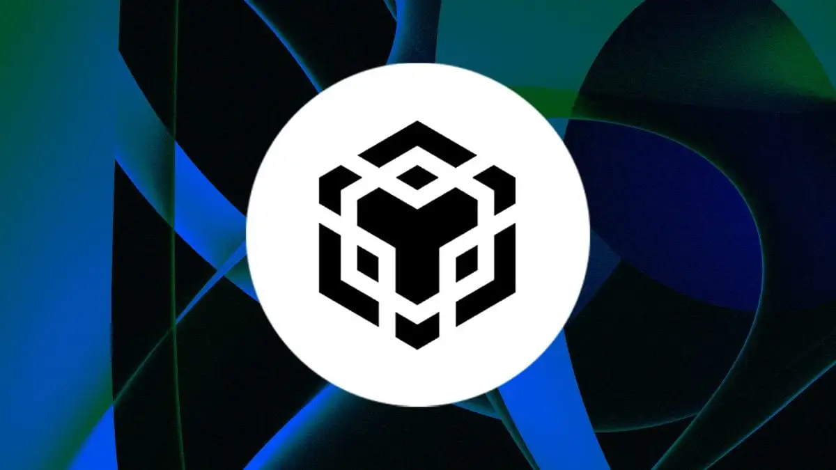CEA Industries Amasses $663M in BNB and Cash, Eyes 1% of Binance Coin Supply