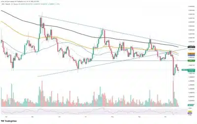 Shiba Inu Sees Major Shift as 263 Billion SHIB Exit Exchanges in 24 Hours 1 SHIBA
