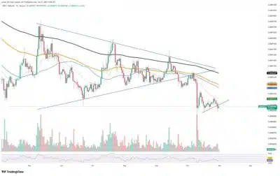 Shiba Inu Whales Withdraw 147 Trillion SHIB — Massive Accumulation Sparks Bullish Buzz 1 SHIBA