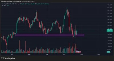 Mike Novogratz Sees Positive Outlook for Bitcoin Despite October Market Liquidity Shock 1 bitcoin