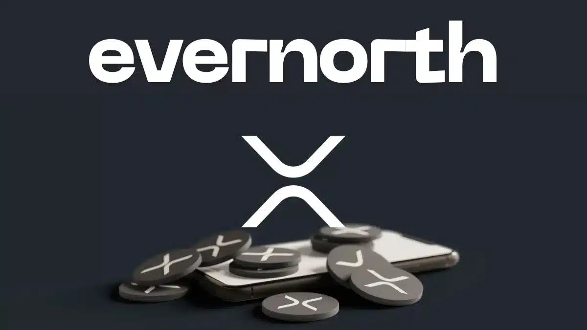 Massive XRP Alert: Here’s How Much XRP Evernorth Has Accumulated
