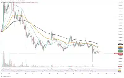 Shiba Inu Shock: Exchanges Near Breaking Point as 82 Trillion SHIB Vanishes Fast 1 shiba