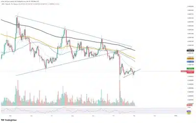 Shiba Inu Faces Liquidity Strain as Trading Activity Plummets 1 shiba