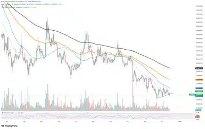 Shiba Inu Faces Uncertainty Amid Surge in Exchange Inflows 1 shiba