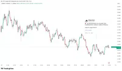 Massive $21.4M ADA Transfer to Binance Leaves Crypto Market Stunned – What's Next? 1 ADA