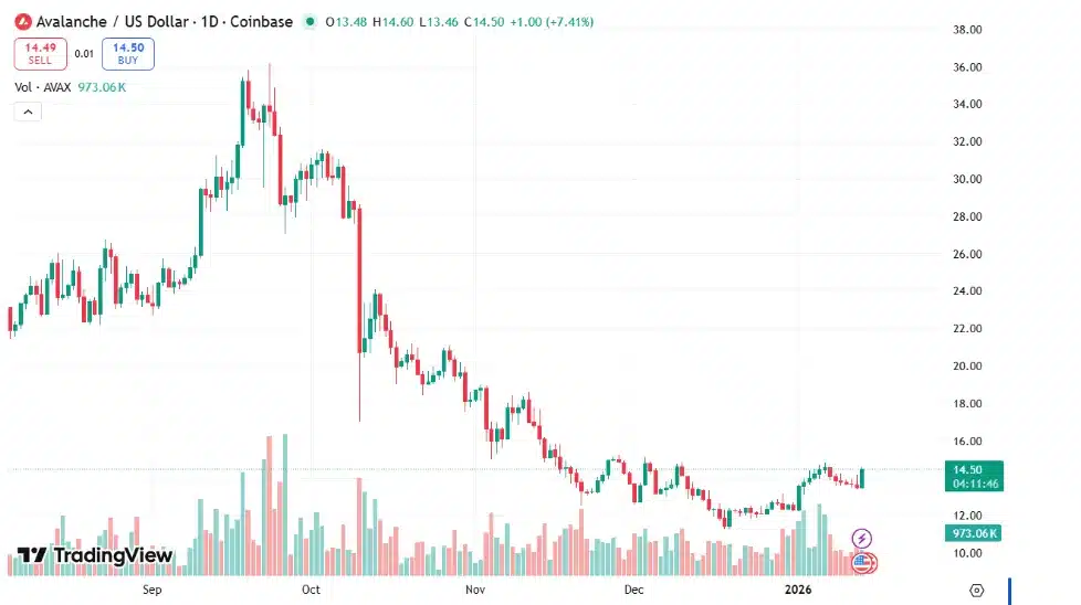 Avalanche network activity