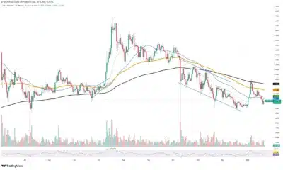 XRP's On-Chain Fundamentals Remain Strong Despite Price Decline 1 XRP