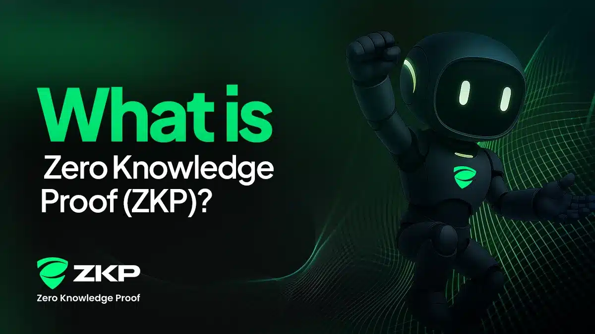 How Zero Knowledge Proof Uses IPFS and Filecoin to Solve Blockchain Storage