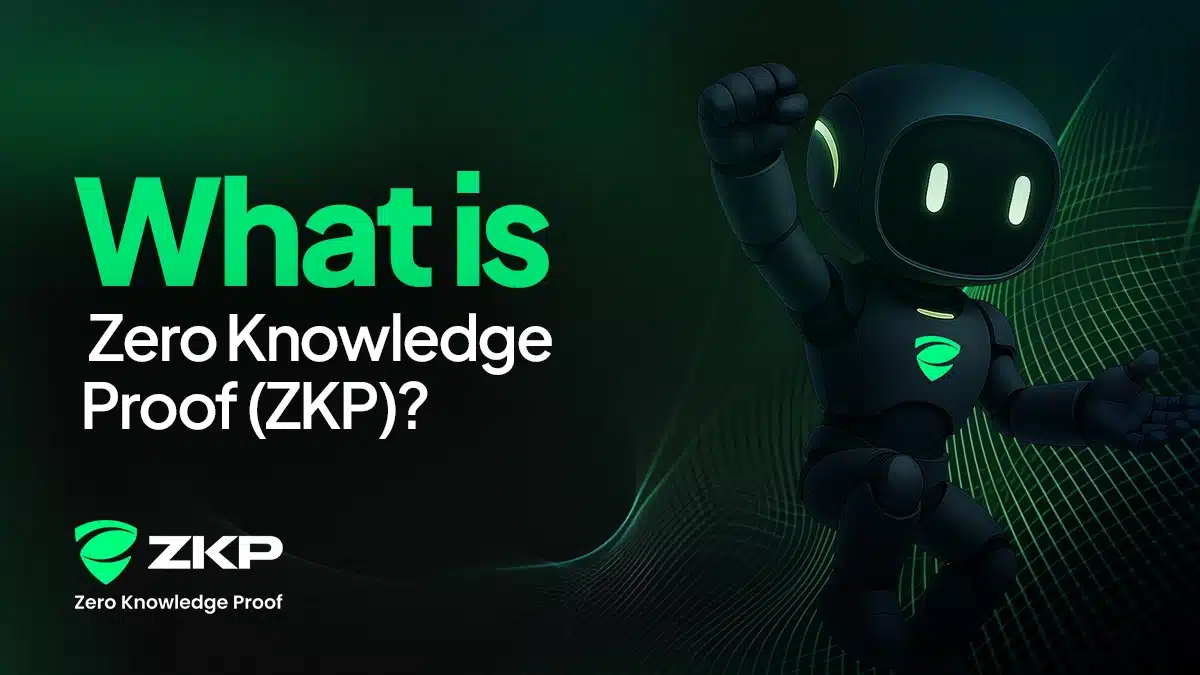 Investors Rush to Claim ZKP Crypto’s $5M Giveaway Prizes While PEPE Gains Momentum and Dogecoin Weakens 2 What is zero knowledge proof(zkp)